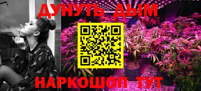 мяу мяу мука Беслан