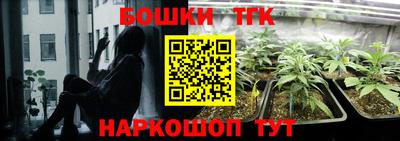 молекула духа Бийск