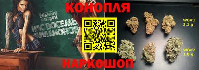 крисы Балахна