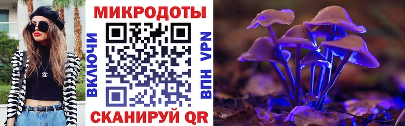 Галлюциногенные грибы Psilocybe  Мурманск 