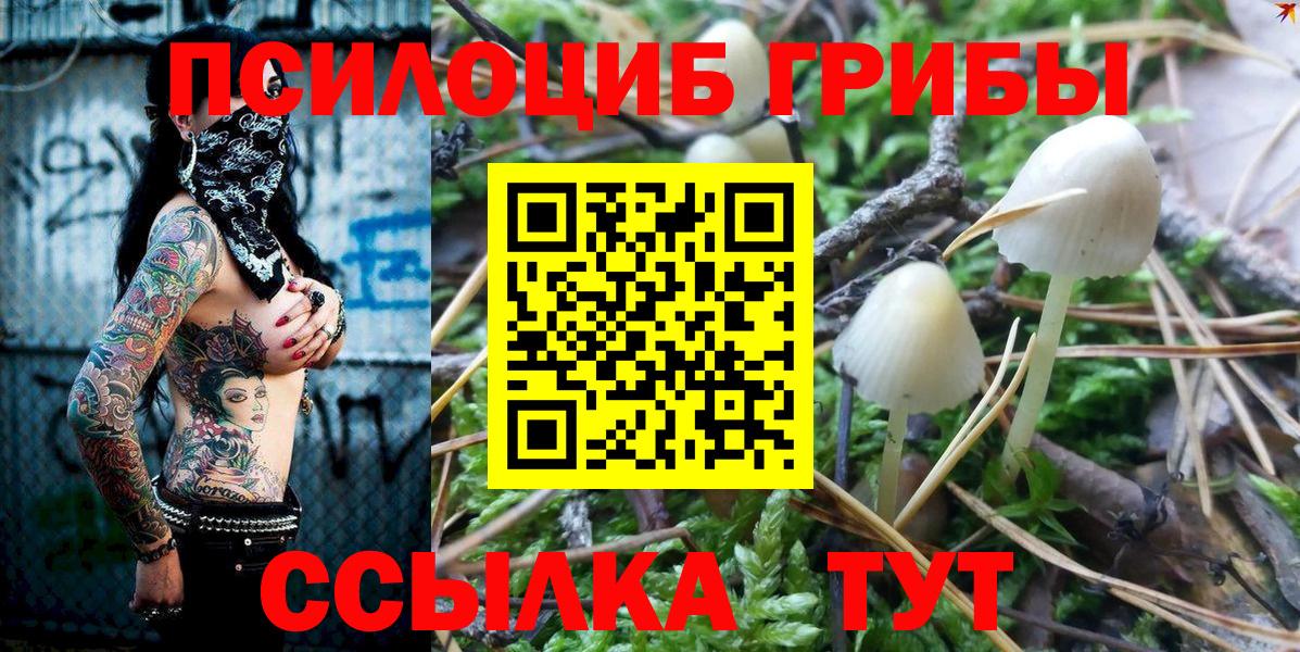 Галлюциногенные грибы мухоморы Мурманск