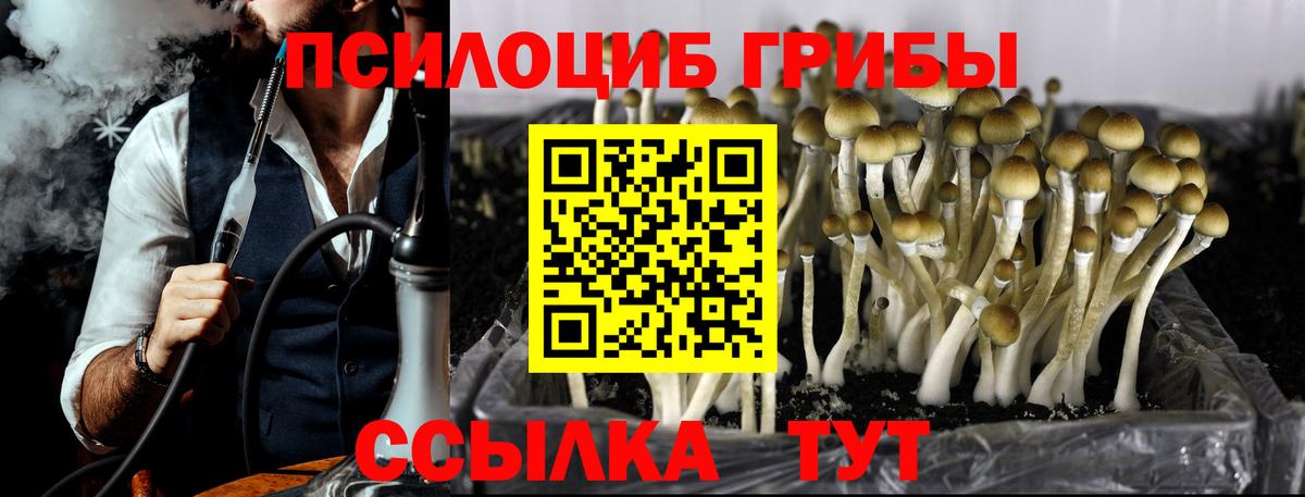 Псилоцибиновые грибы прущие грибы  дарнет шоп  Мурманск  Вход с VPN  Псилоцибиновые грибы GOLDEN TEACHER 